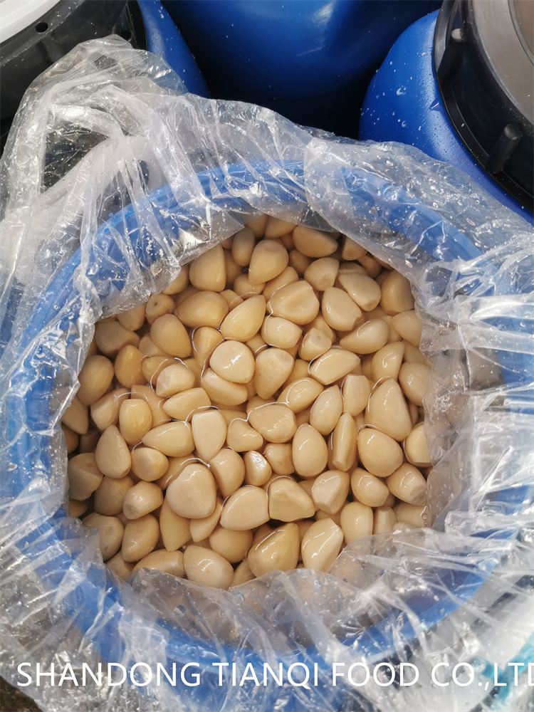 High quality white garlic cloves in salted water in drums High quality white garlic cloves in salted water in drums