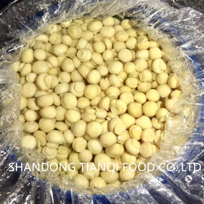 Vinegar white button mushroom in drums