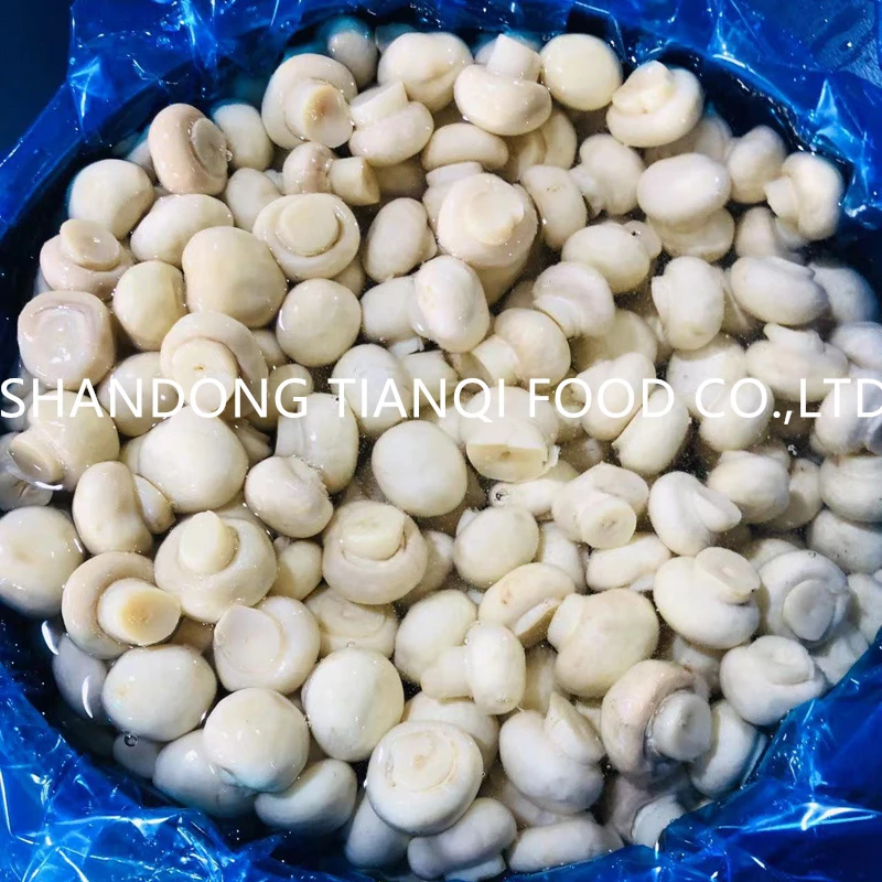 White cultivated mushroom preserved in plastic drums