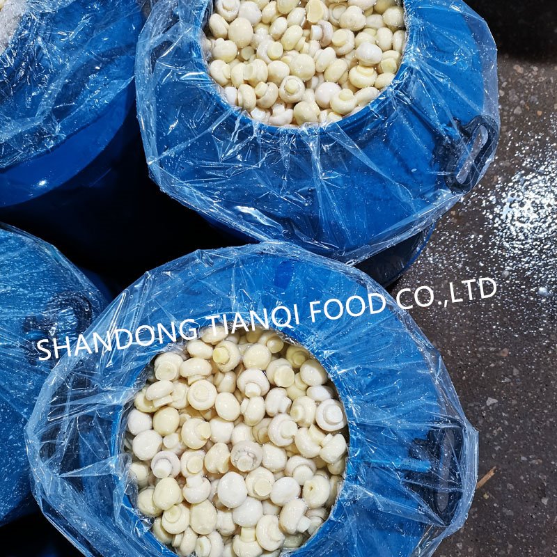 Good quality white champignon mushroom in vinegar in drums Good quality white champignon mushroom in vinegar in drums