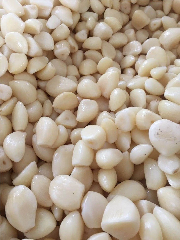 Salted high quality garlic cloves in drums