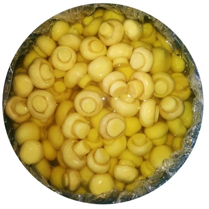 Drum packing whole white mushroom in brine