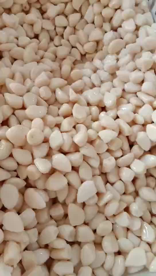 White garlic in salty water in drums