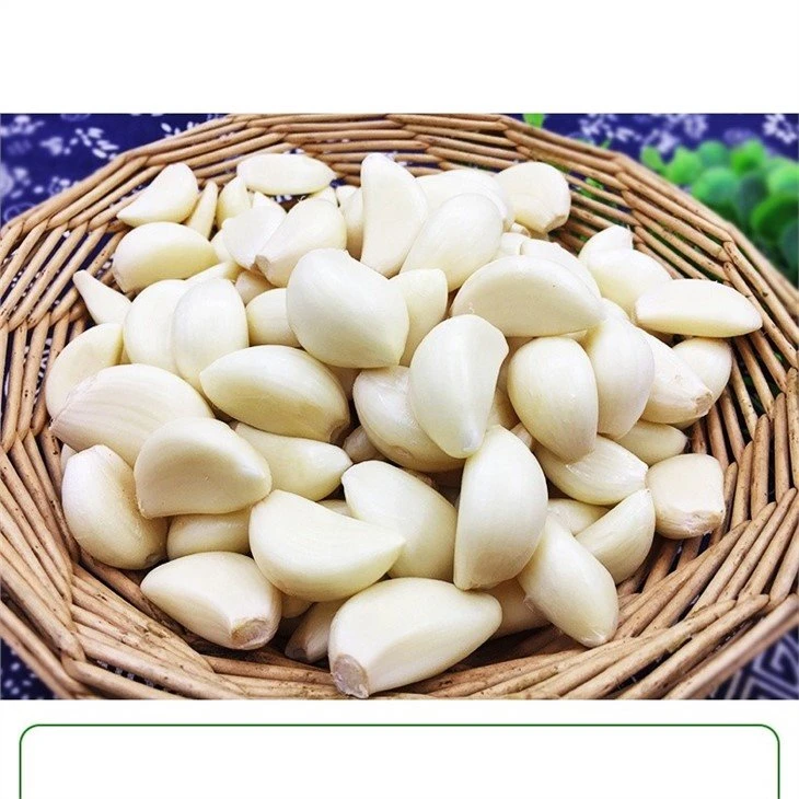 Preserved peeled white garlic in drums