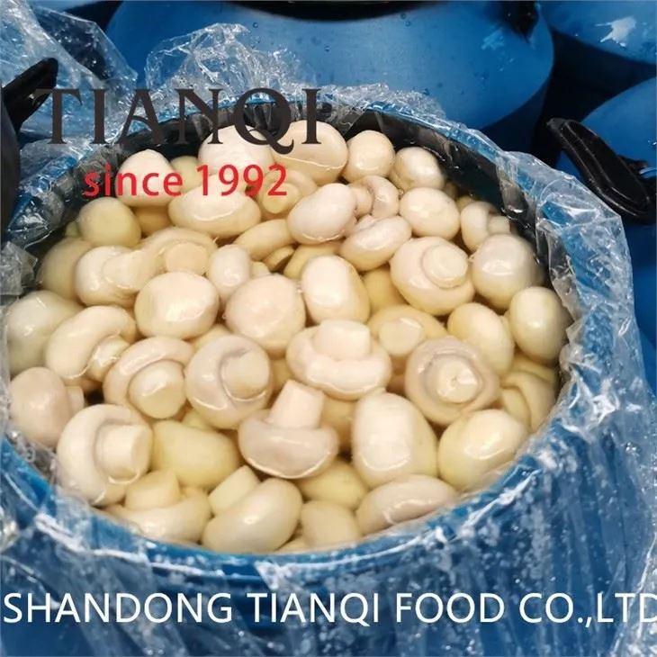 Preserved Fresh white mushroom in brine in drums