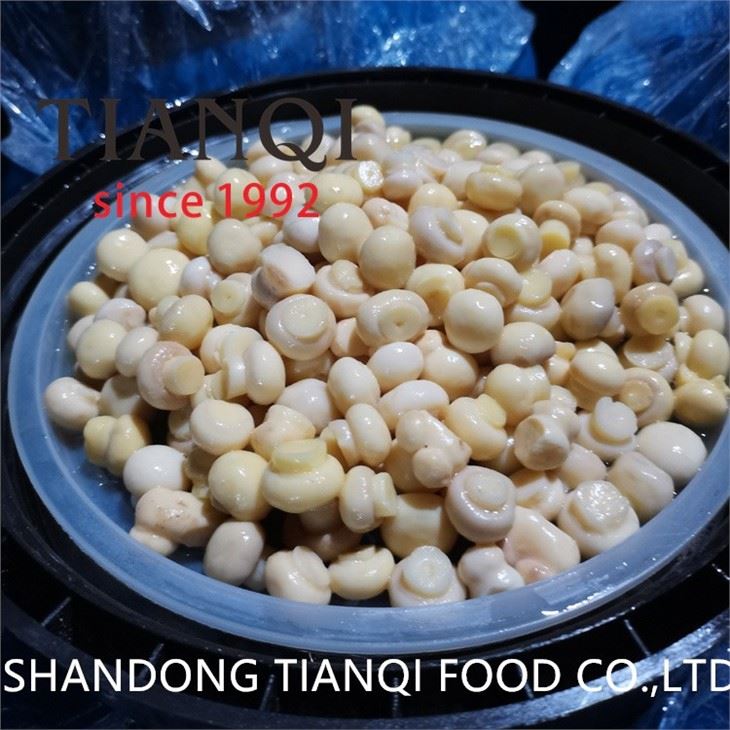 50kgs drum packing white mushroom in salty water