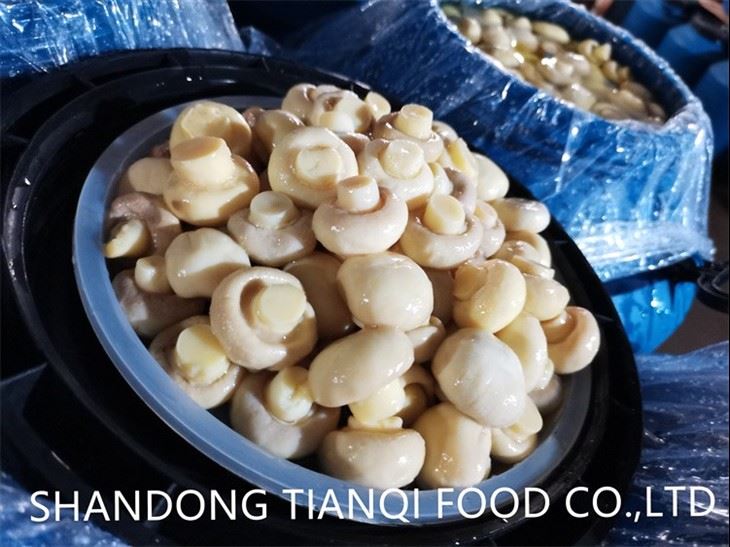 Pickled whole white mushroom in brine in drums