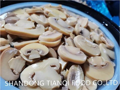 Visas pievagrybis ir PNS sūryme būgne