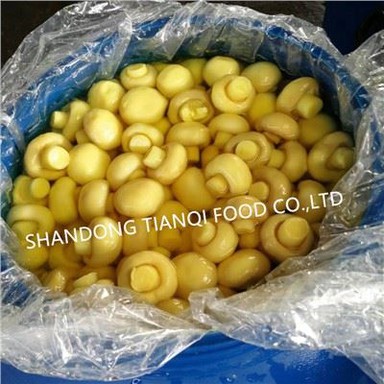 Aukštos kokybės grybai SO2 būgnuose