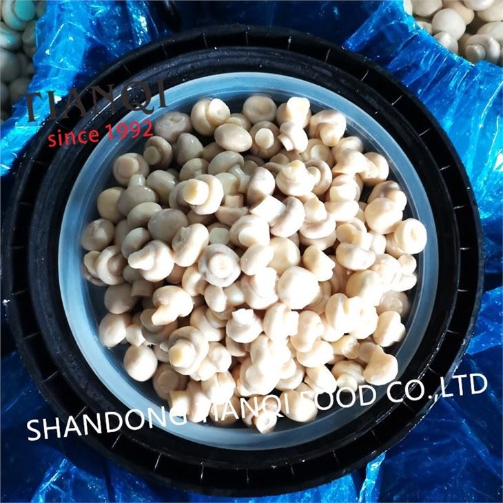 Best selling white mushroom in vinegar in plastic drums