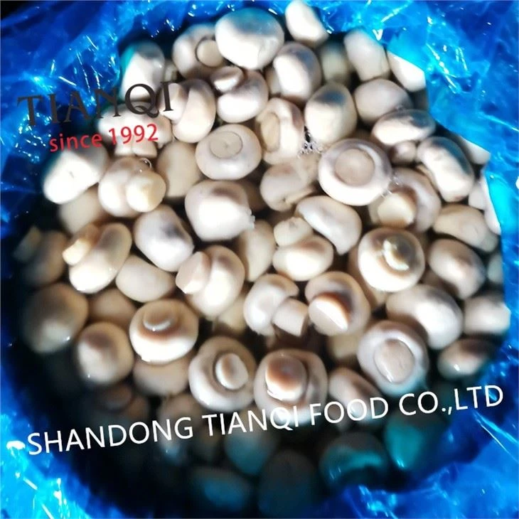 Best white mushroom in vinegar in drums