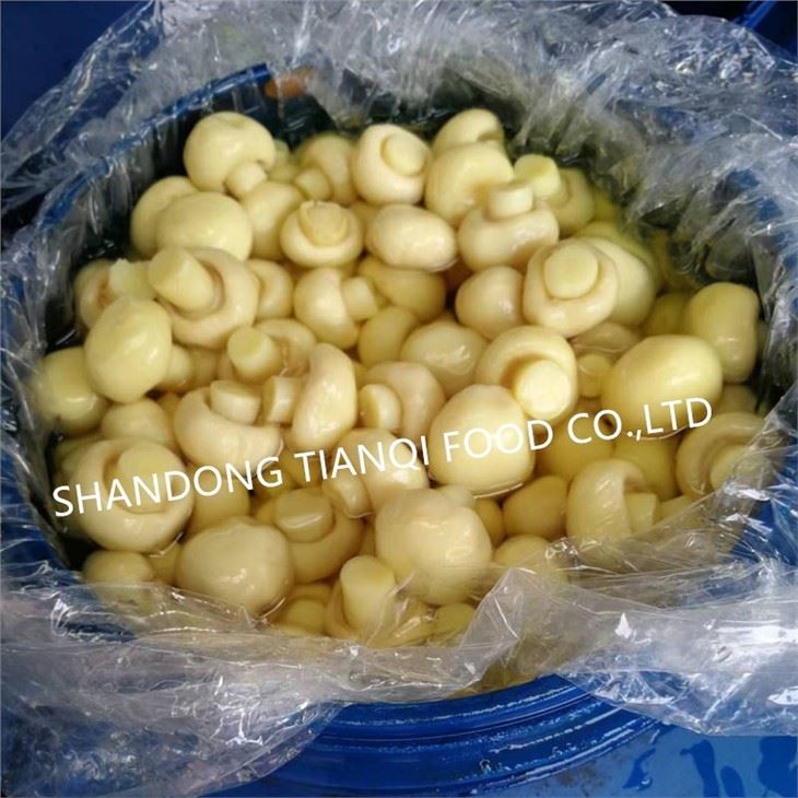 Wholesale White Champignon Mushroom in Brine in Drums