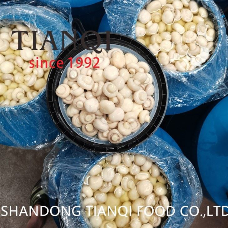 Brined White Champignon in Plastic Drums
