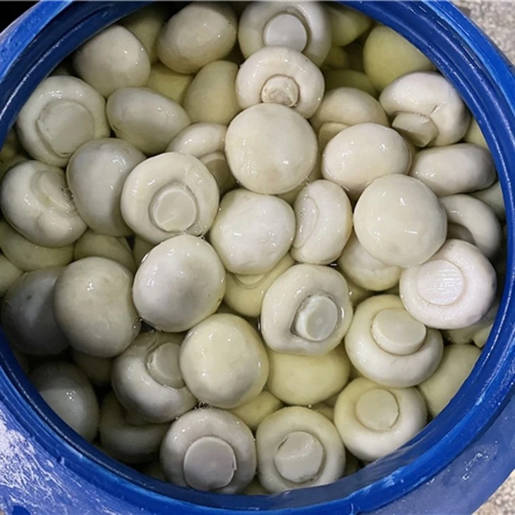 Sūdyti balti pievagrybiai plastikiniuose statiniuose